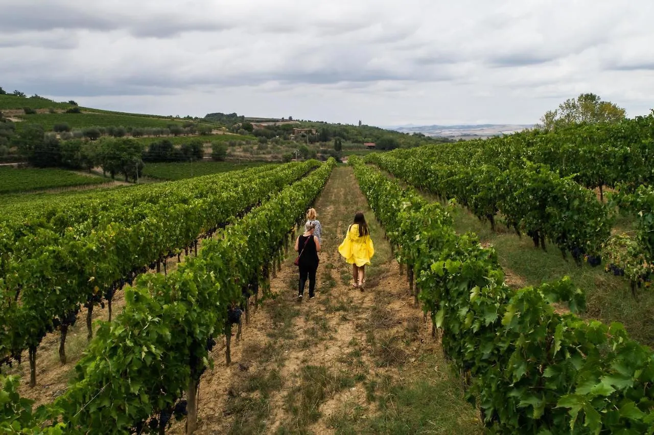 Wine Estate Rooms Paradiso Di Cacuci Montalcino 0*,  Italy